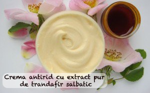 Crema antirid naturala cu extract de trandafir salbatic